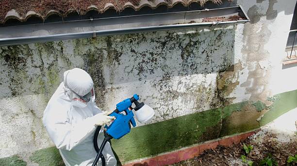 Trusted Mold Testing service in Foster, VA - Cheap Mold Removal